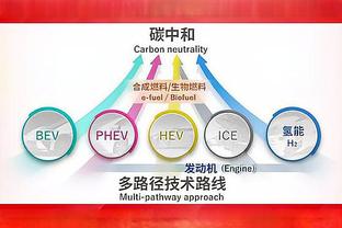 塔图姆：霍福德是我合作过的最棒的队友 他是终极职业球员